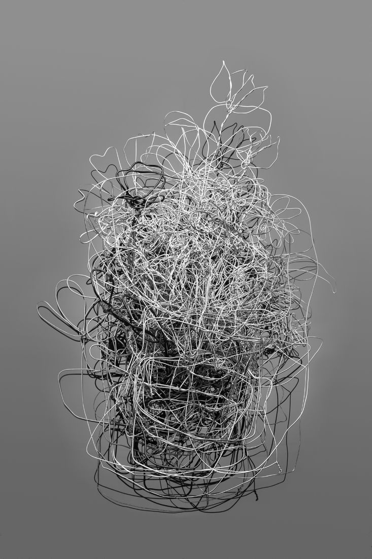 Alternative plant_wire drawing 설치_70x80cm_2014