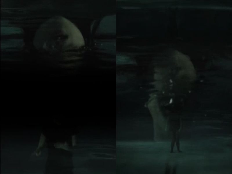수중화 Dialog Underwater  2006  Video  6m43s