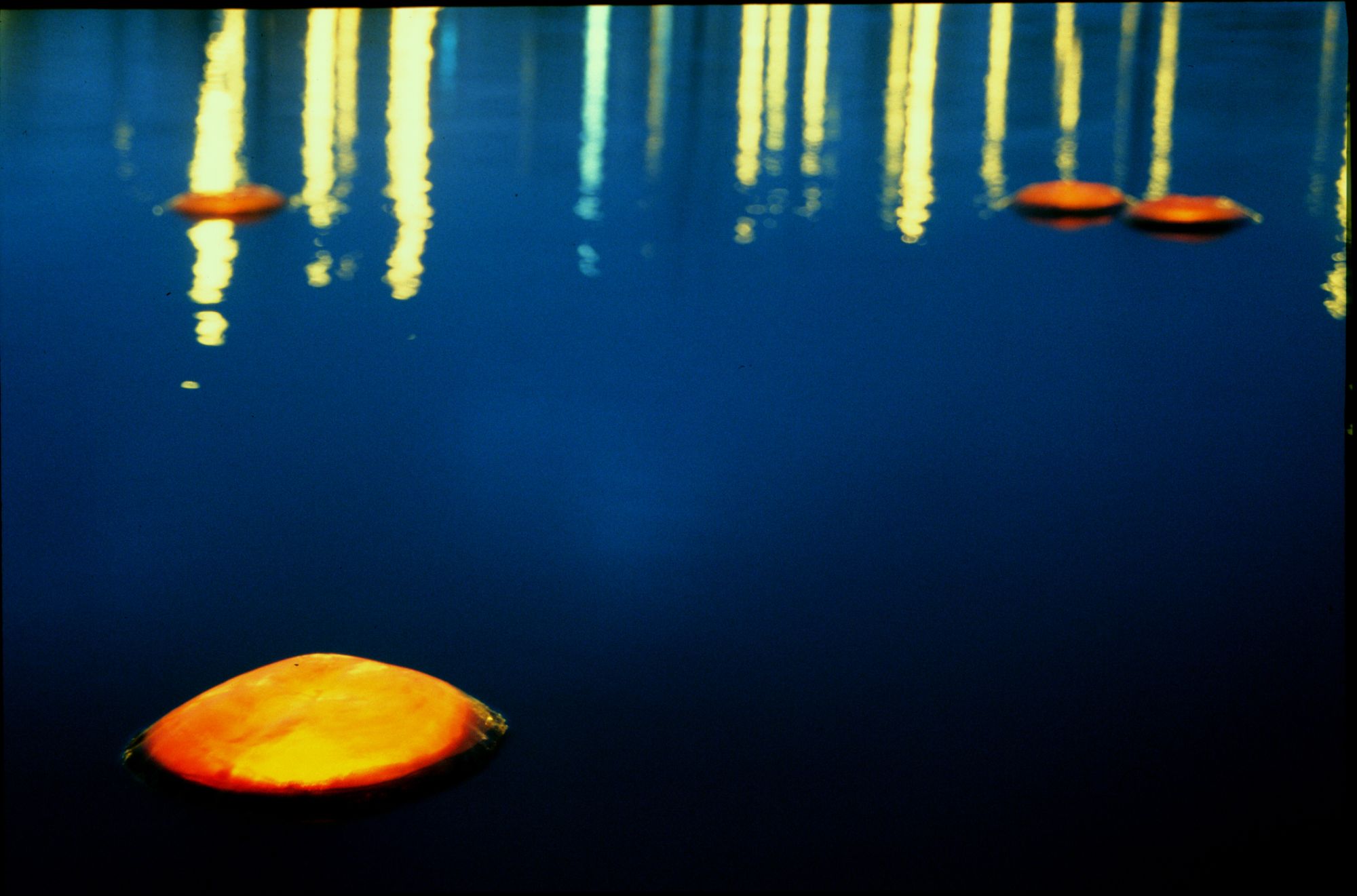 Floating Lights