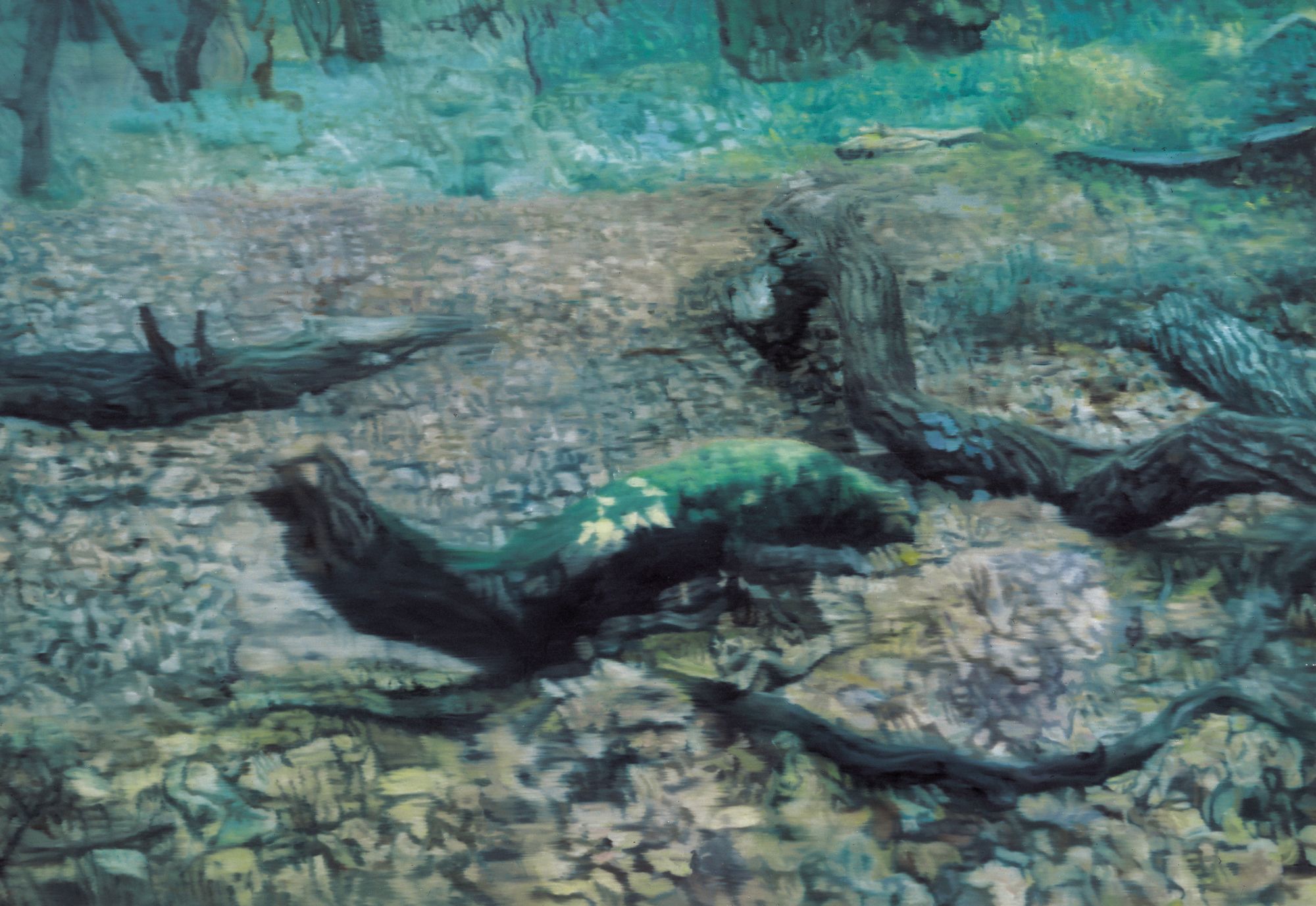 nature 162X112cm, oil on canvas, 2003