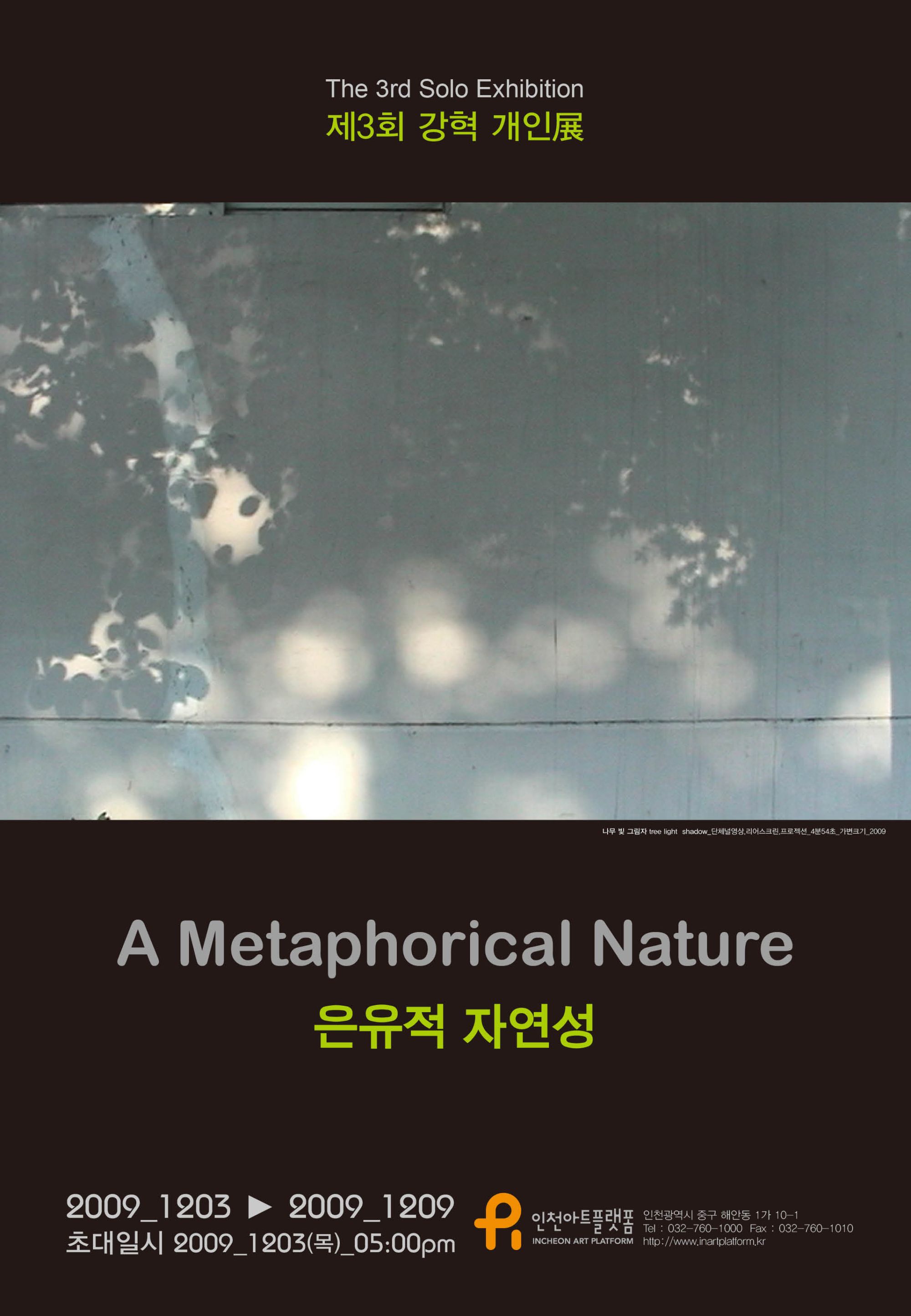 강혁 개인전 / 은유적 자연성 A Metaphorical Nature / 2009. 12. 3 ~ 12. 9 / 인천아트플렛폼