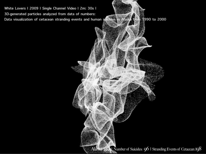 하얀 연인들 2009  Video  2m30s 3D-generated particles analyzed from data of numbers  cetacean stranding events and human suicides