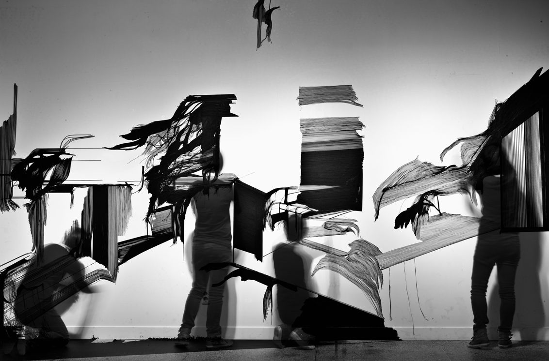 black drongo,installation view, 2009