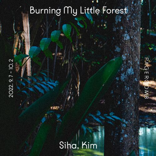 [김시하(3기) 개인전] 《불타는 나의 작은 숲》 image