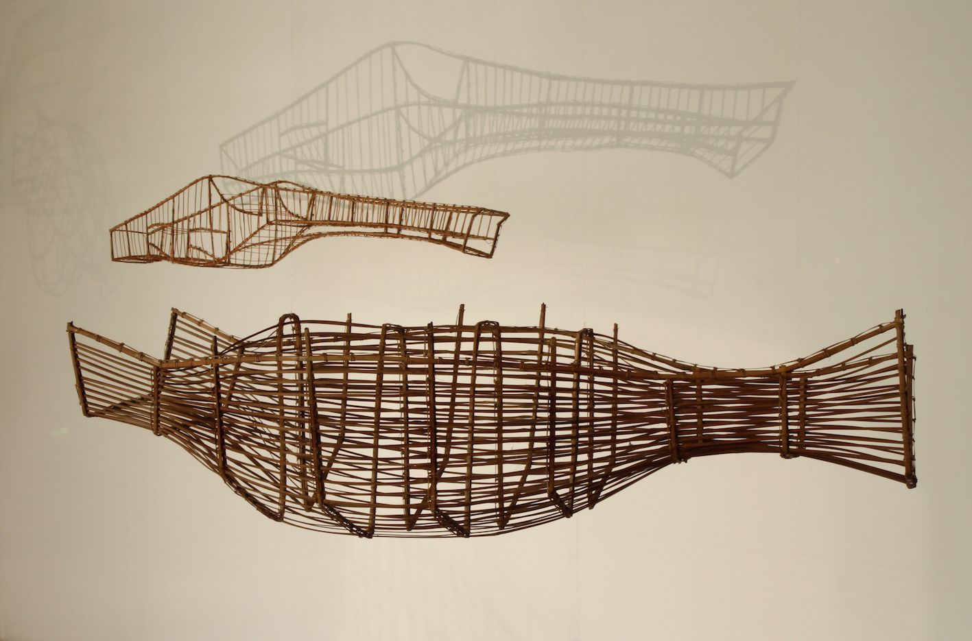 Spirits Under The Chi River_bamboo, steel wire and cathea loeseneri_(Tilapia_23x123x21cm), (Shark catfish_23.5x183x22.5cm)_20